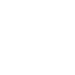 Bath & Brush